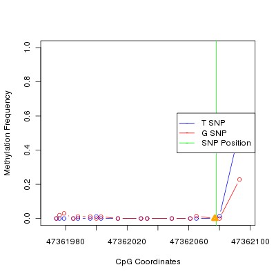 Allele Specific Methylation Frequency Diagram for chr12 47362078 SNP.