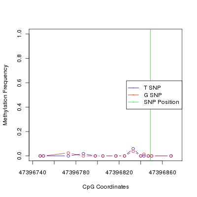 Allele Specific Methylation Frequency Diagram for chr12 47396849 SNP.