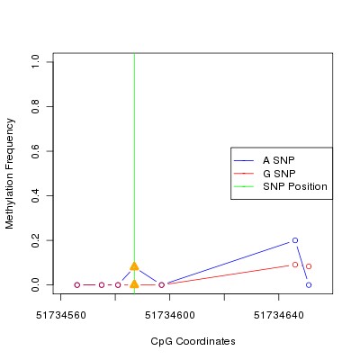 Allele Specific Methylation Frequency Diagram for chr12 51734587 SNP.