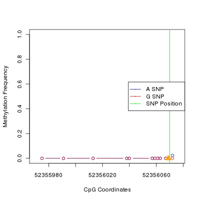 Allele Specific Methylation Frequency Diagram for chr12 52356070 SNP.