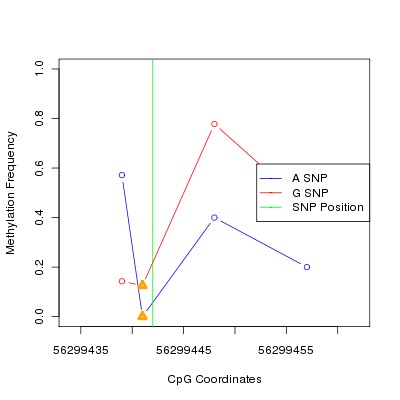 Allele Specific Methylation Frequency Diagram for chr12 56299442 SNP.