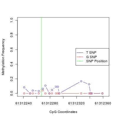 Allele Specific Methylation Frequency Diagram for chr12 61312267 SNP.