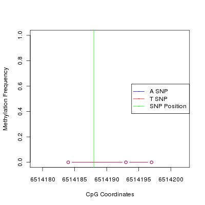 Allele Specific Methylation Frequency Diagram for chr12 6514188 SNP.
