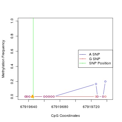 Allele Specific Methylation Frequency Diagram for chr12 67919646 SNP.