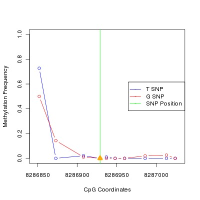 Allele Specific Methylation Frequency Diagram for chr12 8286929 SNP.