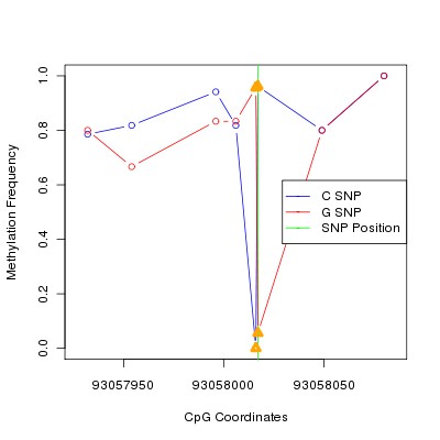 Allele Specific Methylation Frequency Diagram for chr12 93058017 SNP.