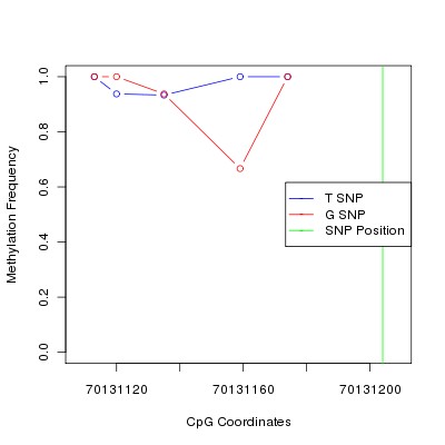 Allele Specific Methylation Frequency Diagram for chr14 70131204 SNP.