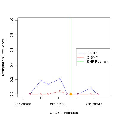 Allele Specific Methylation Frequency Diagram for chr17 28173927 SNP.