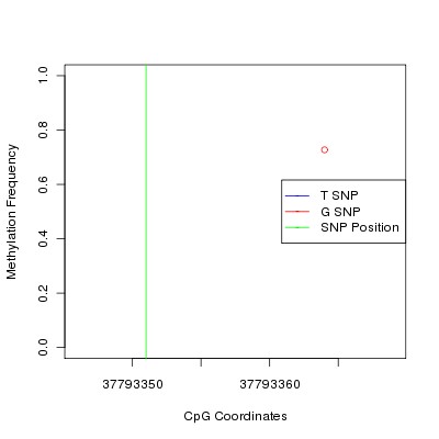 Allele Specific Methylation Frequency Diagram for chr17 37793351 SNP.