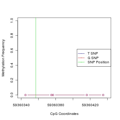 Allele Specific Methylation Frequency Diagram for chr19 59360357 SNP.