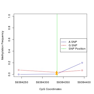 Allele Specific Methylation Frequency Diagram for chr19 59384335 SNP.