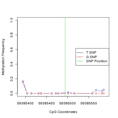 Allele Specific Methylation Frequency Diagram for chr19 59385494 SNP.