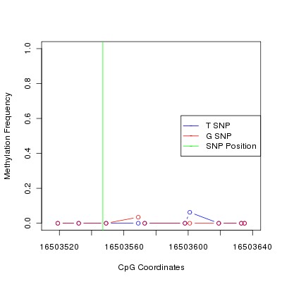 Allele Specific Methylation Frequency Diagram for chr20 16503547 SNP.