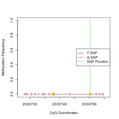 Allele Specific Methylation Frequency Diagram for chr20 2030781 SNP.