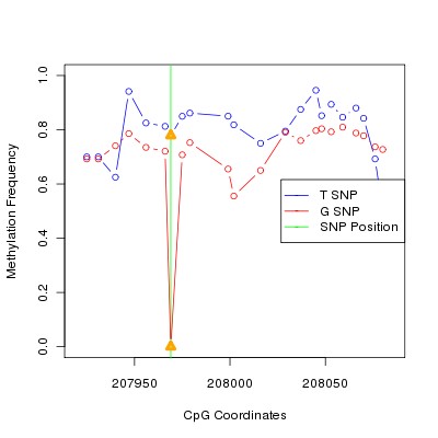 Allele Specific Methylation Frequency Diagram for chr20 207969 SNP.