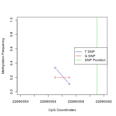 Allele Specific Methylation Frequency Diagram for chr20 22980061 SNP.