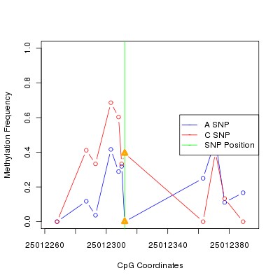 Allele Specific Methylation Frequency Diagram for chr20 25012312 SNP.