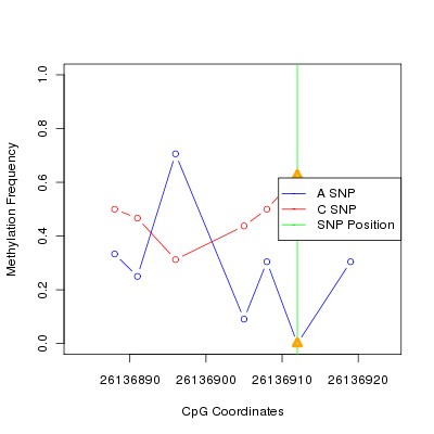 Allele Specific Methylation Frequency Diagram for chr20 26136912 SNP.