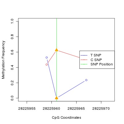 Allele Specific Methylation Frequency Diagram for chr20 28225961 SNP.