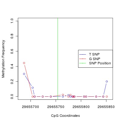 Allele Specific Methylation Frequency Diagram for chr20 29655754 SNP.