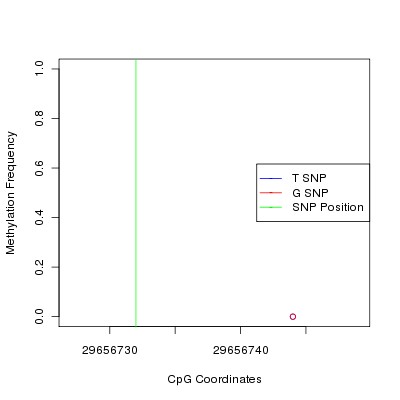 Allele Specific Methylation Frequency Diagram for chr20 29656732 SNP.