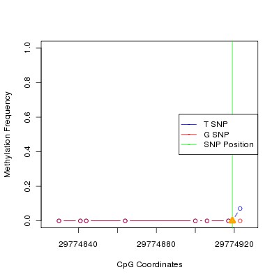 Allele Specific Methylation Frequency Diagram for chr20 29774919 SNP.