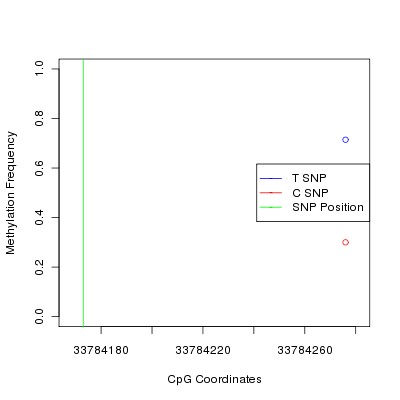 Allele Specific Methylation Frequency Diagram for chr20 33784173 SNP.