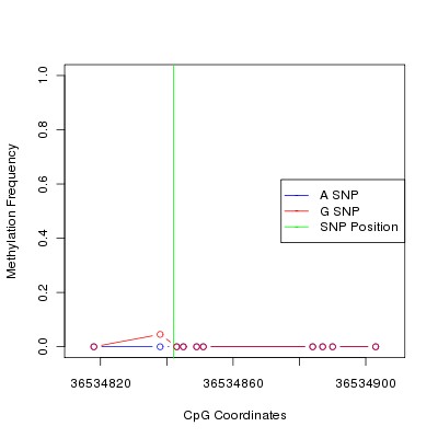 Allele Specific Methylation Frequency Diagram for chr20 36534842 SNP.