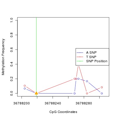 Allele Specific Methylation Frequency Diagram for chr20 36788219 SNP.