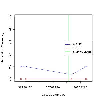 Allele Specific Methylation Frequency Diagram for chr20 36788243 SNP.