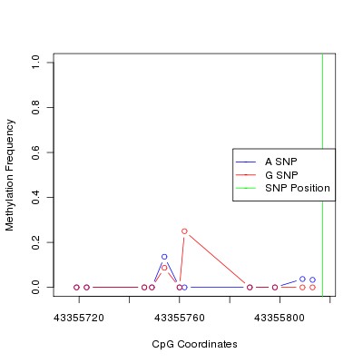 Allele Specific Methylation Frequency Diagram for chr20 43355817 SNP.