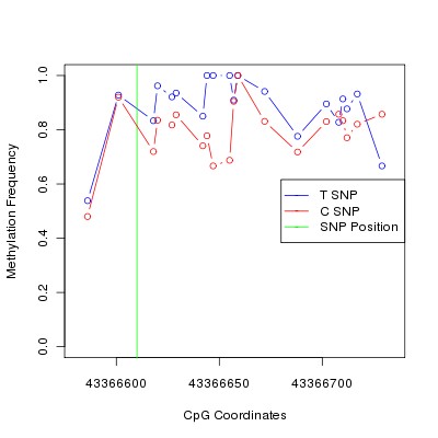 Allele Specific Methylation Frequency Diagram for chr20 43366610 SNP.