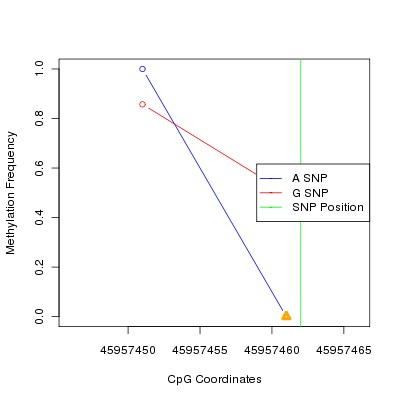 Allele Specific Methylation Frequency Diagram for chr20 45957462 SNP.