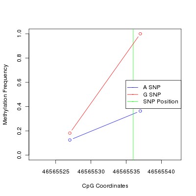 Allele Specific Methylation Frequency Diagram for chr20 46565536 SNP.