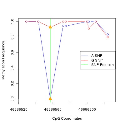 Allele Specific Methylation Frequency Diagram for chr20 46686557 SNP.