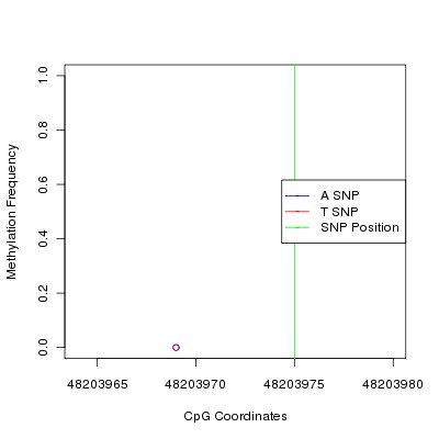 Allele Specific Methylation Frequency Diagram for chr20 48203975 SNP.