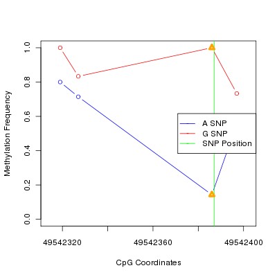 Allele Specific Methylation Frequency Diagram for chr20 49542387 SNP.