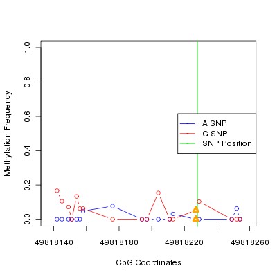 Allele Specific Methylation Frequency Diagram for chr20 49818228 SNP.