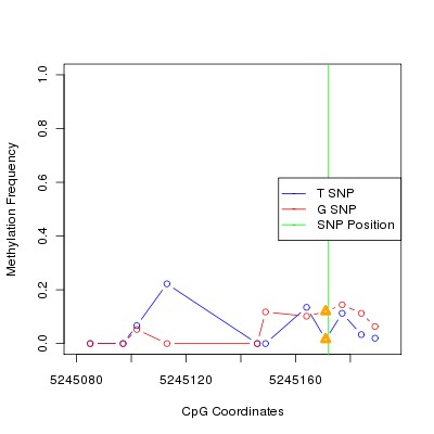 Allele Specific Methylation Frequency Diagram for chr20 5245172 SNP.