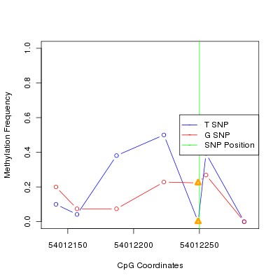 Allele Specific Methylation Frequency Diagram for chr20 54012250 SNP.