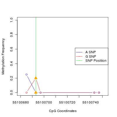 Allele Specific Methylation Frequency Diagram for chr20 55100693 SNP.