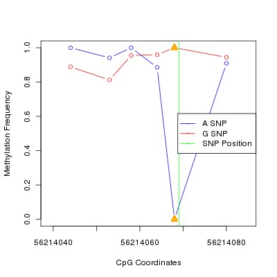 Allele Specific Methylation Frequency Diagram for chr20 56214069 SNP.