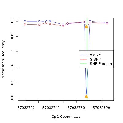 Allele Specific Methylation Frequency Diagram for chr20 57032797 SNP.