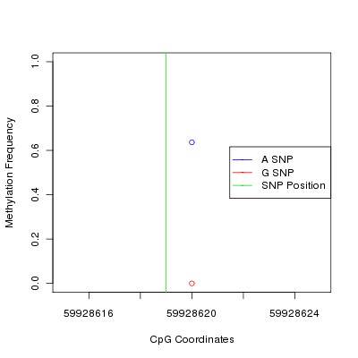 Allele Specific Methylation Frequency Diagram for chr20 59928619 SNP.