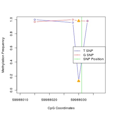 Allele Specific Methylation Frequency Diagram for chr20 59988031 SNP.