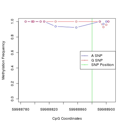 Allele Specific Methylation Frequency Diagram for chr20 59988880 SNP.