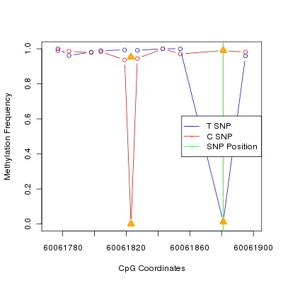 Allele Specific Methylation Frequency Diagram for chr20 60061881 SNP.
