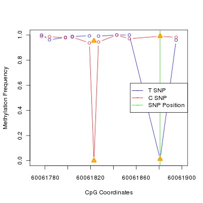Allele Specific Methylation Frequency Diagram for chr20 60061881 SNP.