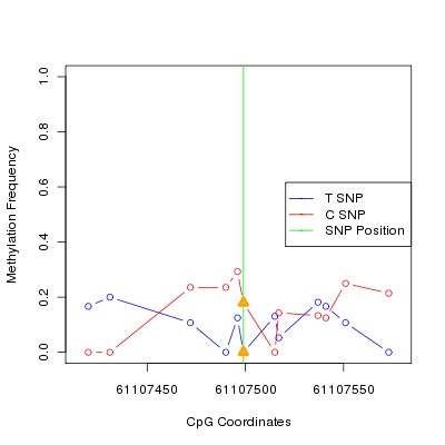 Allele Specific Methylation Frequency Diagram for chr20 61107499 SNP.