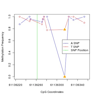Allele Specific Methylation Frequency Diagram for chr20 61136262 SNP.
